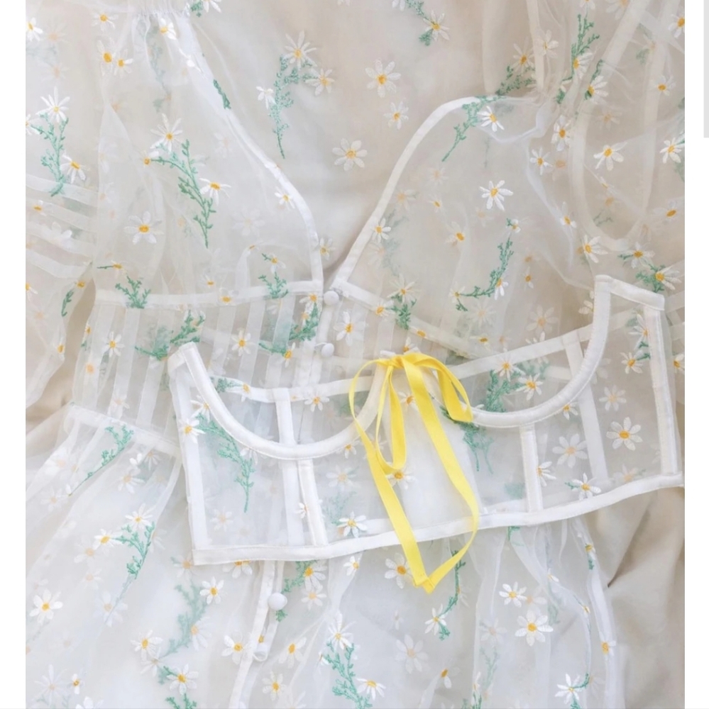 🔥Host Pick🔥Lia Robe For Love and Lemons for Victoria Secret - Picture 10 of 12